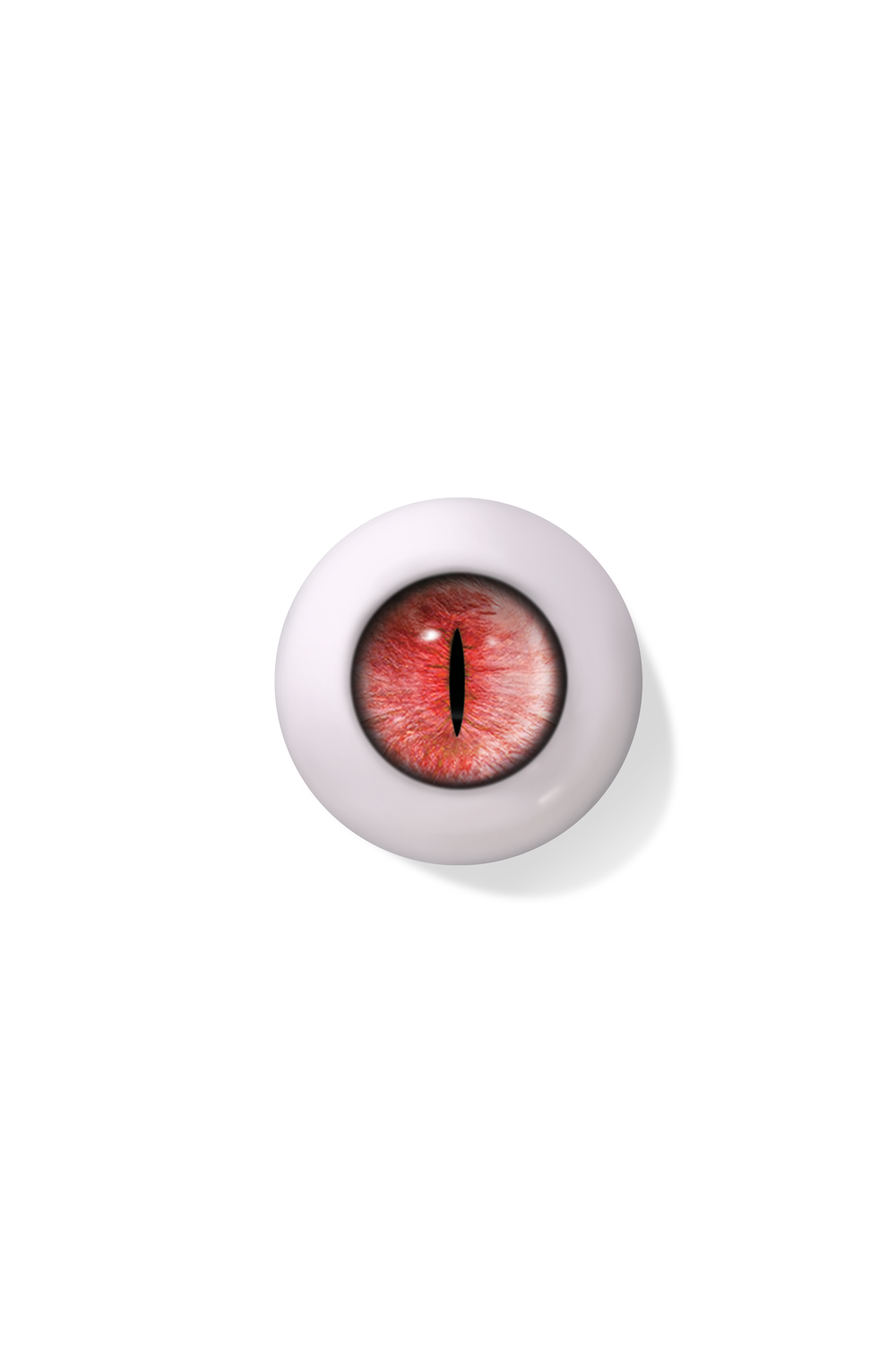 Cat - Velvet Red (CT02)