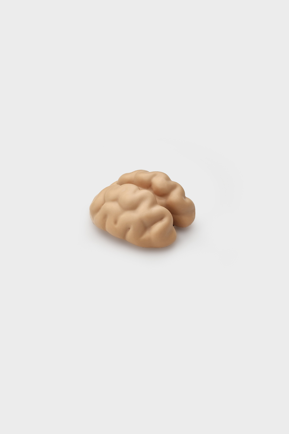 Brain